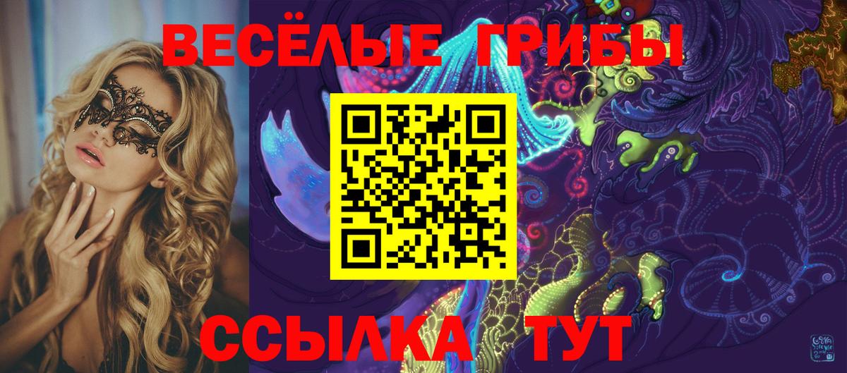 Галлюциногенные грибы мицелий  Галлюциногенные грибы мицелий  Фролово  Вход с VPN 